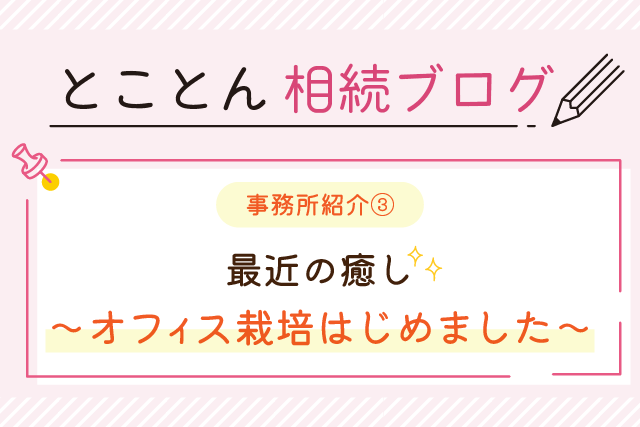 〈事務所紹介③〉最近の癒し～オフィス栽培はじめました～