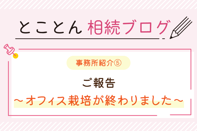 〈事務所紹介⑤〉ご報告～オフィス栽培が終わりました～